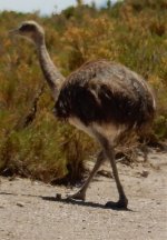 2017L8_Uyuni2_153.jpg