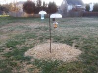 bird feeder 60.jpg