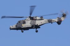 20200331 (2)_ZZ385_AgustaWestland_AW159_Wildcat_AH1.JPG