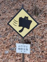 Flying Squirrel Warning Sign resized.jpg