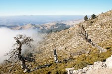 (41)-Clouds-to-the-left,-Alpine-Accentors-to-the-right-800web.jpg