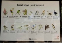 BF Bush Birds plaque thread.jpg