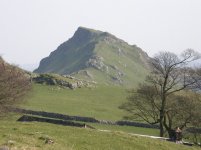 a Chrome Hill from Stoop Farm 010407.jpg