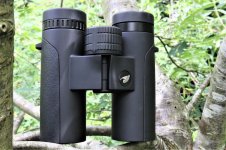 Review of GPO Passion ED 8x32 BirdForum