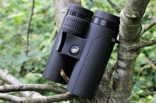 Gpo passion shop ed 8x32