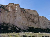 26 Wallcreeper cliff.jpg