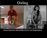 Owling.jpg