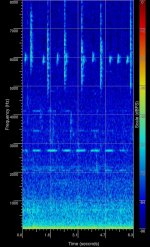 IMG_1497 Sonogram - Arctic & Pale-legged Leaf Warbler @ San Tin.jpg