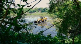 DSC07788 Clearing Water Hyacinth @ San Tin.jpg