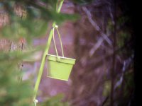 Green Pail Digiscoping.jpg