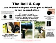ball_and_cup_brochure_copy_1_1.jpg