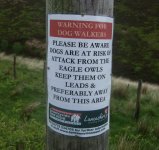 2007_0528Dunsop_owls_WARNING0021.jpg