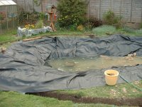 pond-filling.jpg