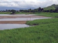 wetlands park.mudflat hide IMG_4016.jpg