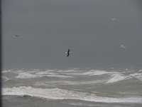 Clogher head stormy.jpg