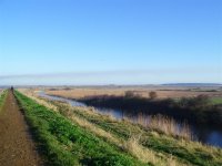 burnham overy staithe 020 (Custom).jpg