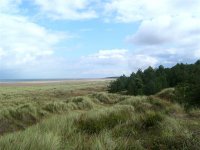 wells woods and dunes.jpg