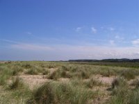 view over titchwell reserve.jpg