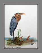 Great Blue Heron II.jpg