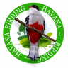 Birding Havana