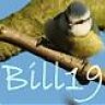 Bill19