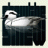 stew the smew