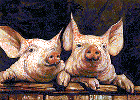 Pig Face - watercolour