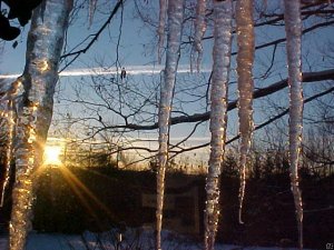 Sunset behind icicles.