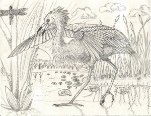 Reddish Egret rapidograph