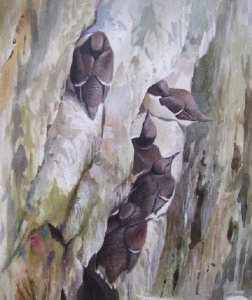 Cathederal Wall - Guillemot painting