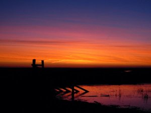 Sunrise over Elmley