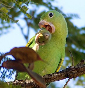 Lunch time