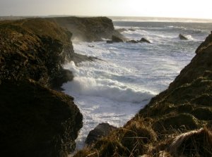 Burwick Head, Orkney