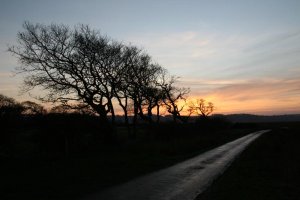 Salt marsh road