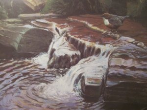 Moorland Cascade - Dipper painting