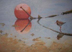 Redshank & red bouy painting