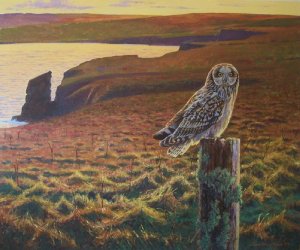 Shortest Day - Short-eared Owl, Painting