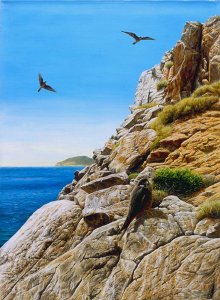 Mediterranean Light-Eleonora's Falcons