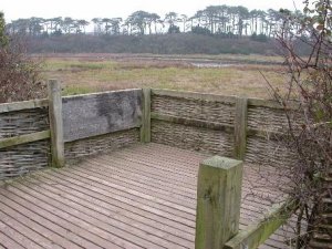 Budleigh Salterton Viewing Platform