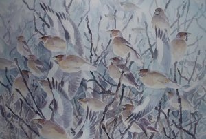 Lots of Hawfinches!