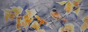 Redstart in Birch