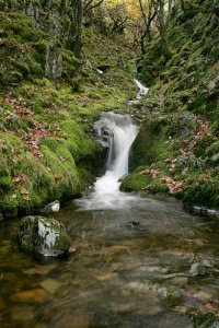 Dipper (wide angle)