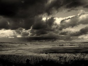 Arnolds marsh (Cley)