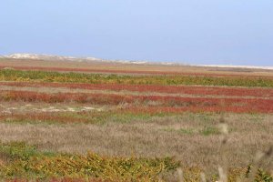 Salinas River Wildlife Refuge