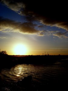 Strumpshaw Fen