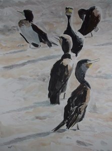 Basking Cormorants