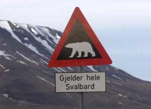 Look out for Polar bears