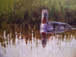 Red-throated Diver painting