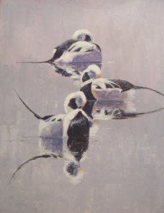 Long-tailed drakes painting