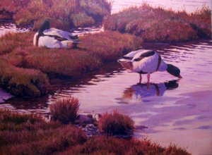 On The Ebb - Shelduck painting